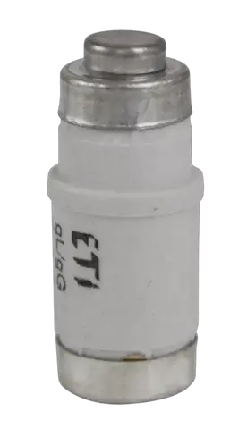 Image of D02 gG 25A/400V