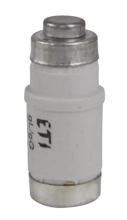 Image of D02 gG 50A/400V