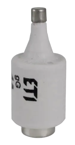 Image of DII DZ/gF 2A/500V