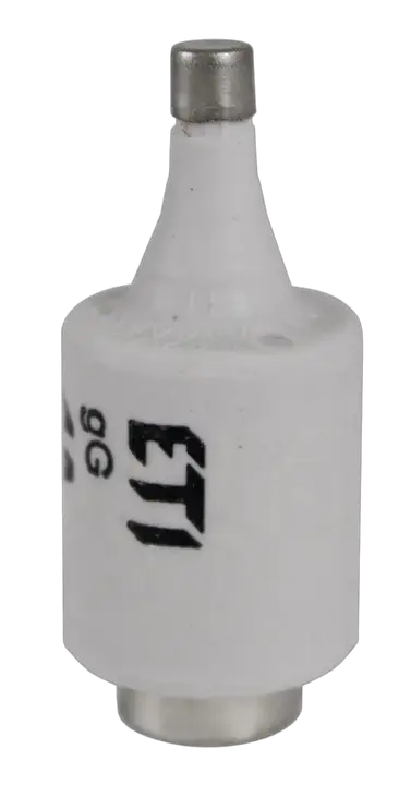 Image of DII DZ/gF 4A/500V