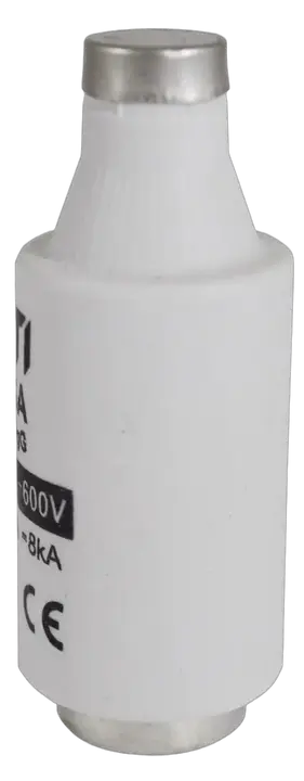 Image of DIII gG 10A/690V