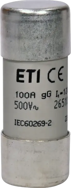 Image of CH22x58 gG 100A/500V