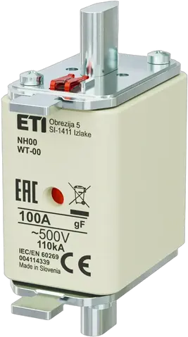 Image of NH00 gF 100A/500V