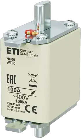 Image of NH00 gF 100A/400V