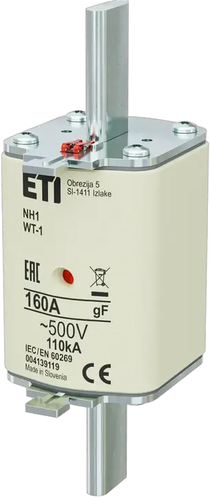 Image of NH1 gF 160A/500V