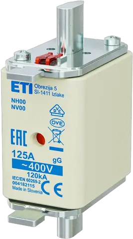 Image of NH00 gG 125A/400V