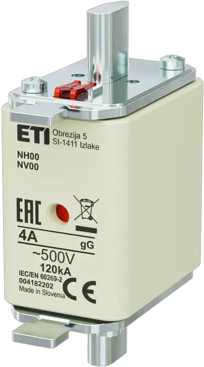 Image of NH00 gG 4A/500V
