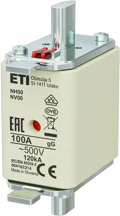 Image of NH00 gG 100A/500V