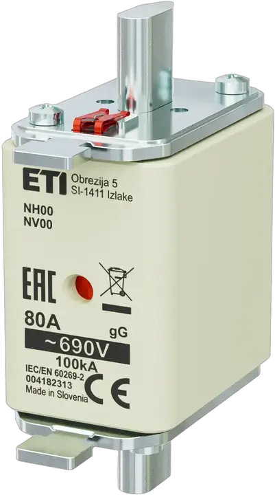 Image of NH00 gG 80A/690V