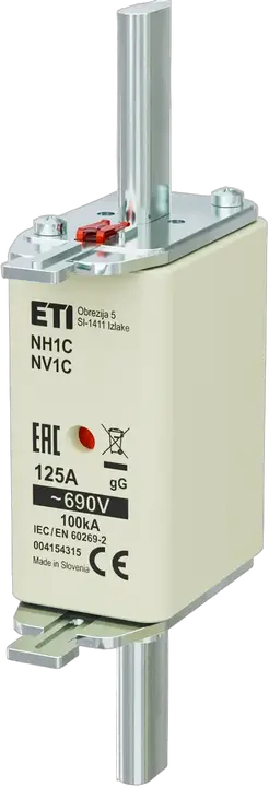 Image of NH1C gG 125A/690V