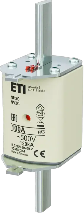 Image of NH2C gG 100A/500V