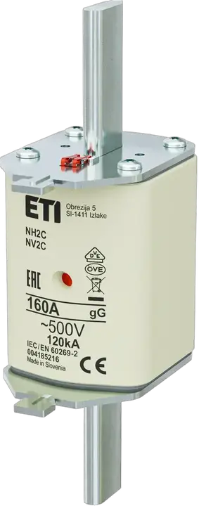 Image of NH2C gG 160A/500V