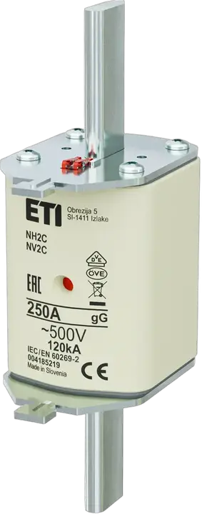 Image of NH2C gG 250A/500V