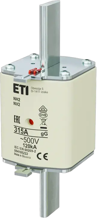 Image of NH2 gG 315A/500V