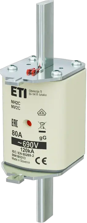 Image of NH2C gG 80A/690V