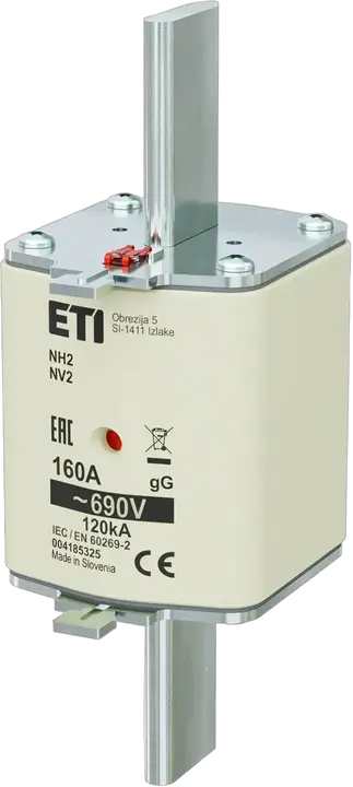 Image of NH2 gG 160A/690V