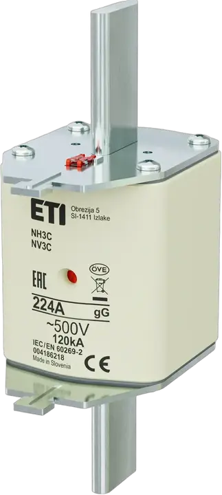 Image of NH3C gG 224A/500V