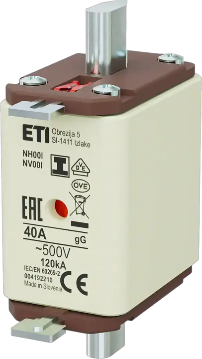 Image of NH00/I gG 40A/500V