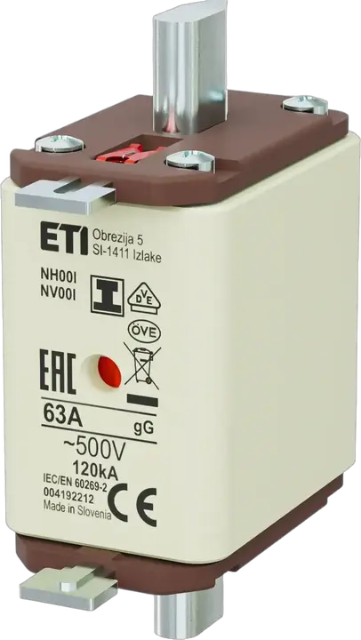 Image of NH00/I gG 63A/500V