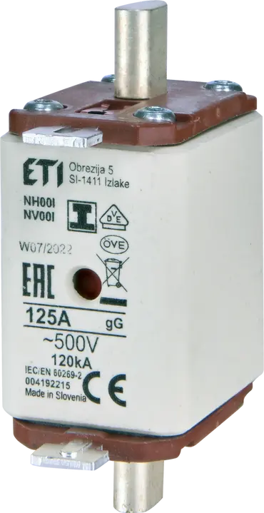 Image of NH00/I gG 125A/500V