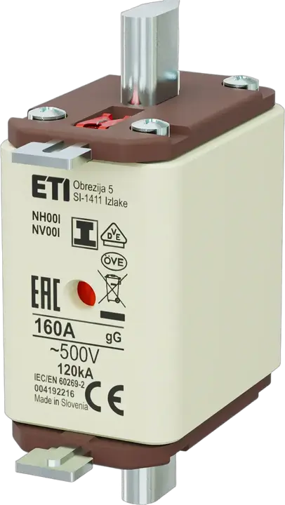 Image of NH00/I gG 160A/500V
