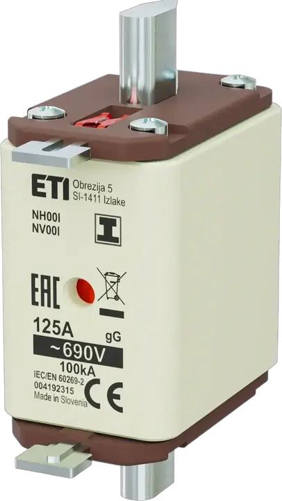 Image of NH00/I gG 125A/690V