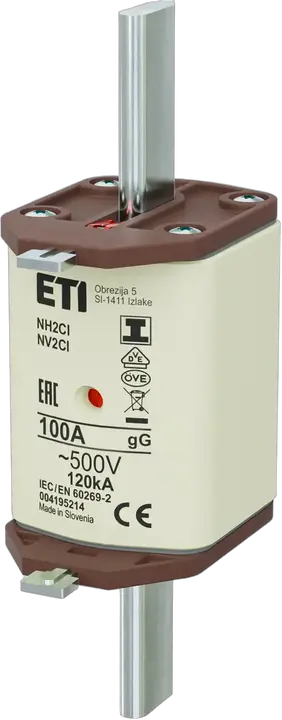 Image of NH2C/I gG 100A/500V