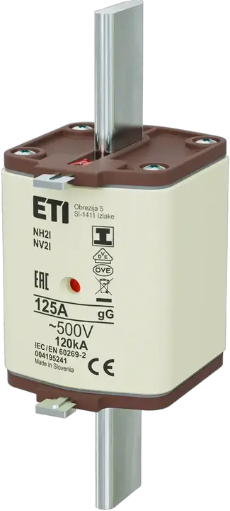 Image of NH2/I gG 125A/500V