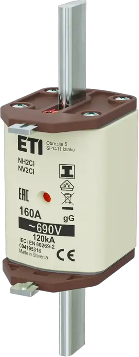 Image of NH2C/I gG 160A/690V