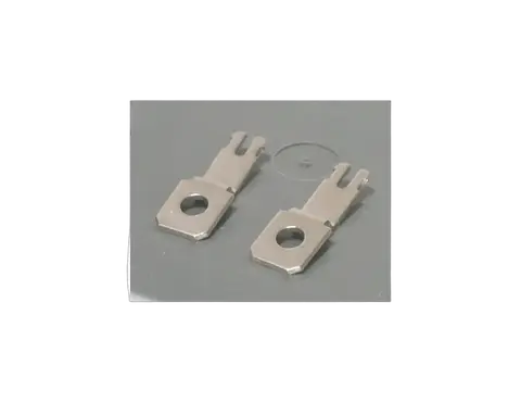 Image of PLMPE
