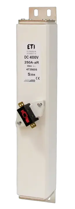 Image of NHS2/394/M aR 100A/4000V DC