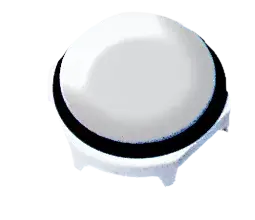 Image of *HH196010