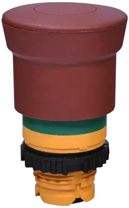 Image of NSE-PBM-P-RG